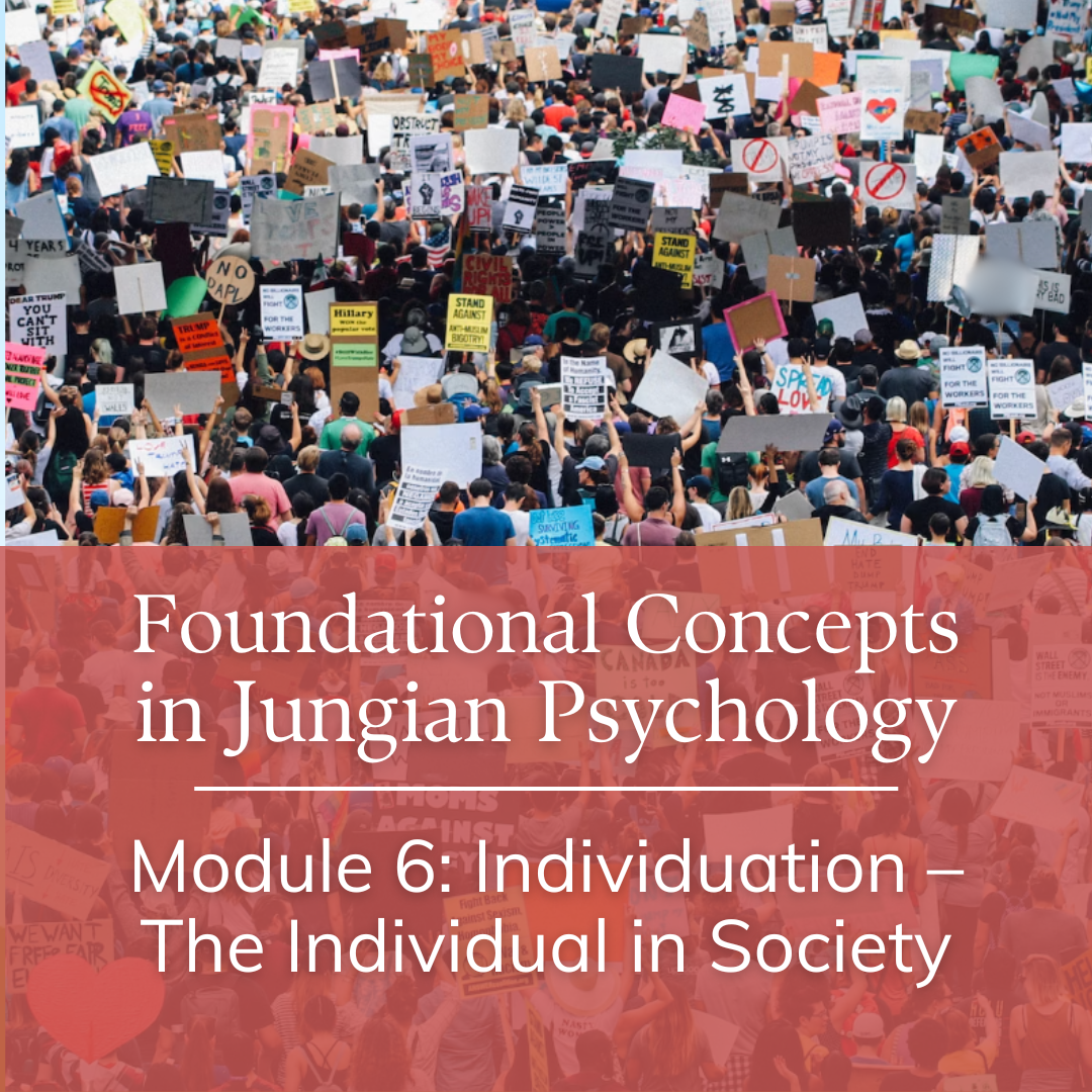Module Six – Individuation – The Individual in Society